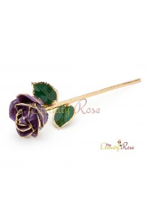 purple rose gift
