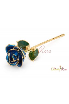 dark blue rose