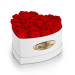 20 Konservierte Rote Rosen – Herzförmige Präsentationsbox in Weiß