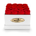 16 Konservierte Rote Rosen – Quadratische Präsentationsbox in Weiß