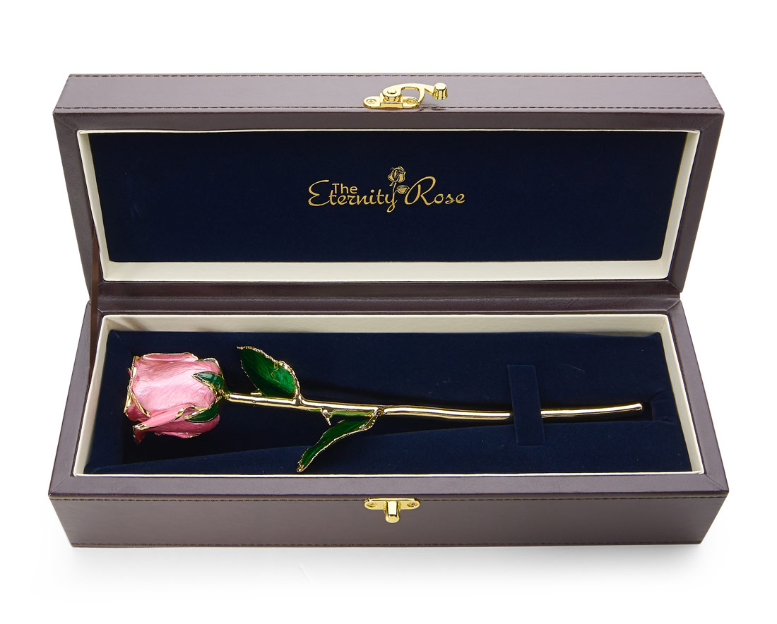 Rosa Knospenrose glasiert im Lederetui