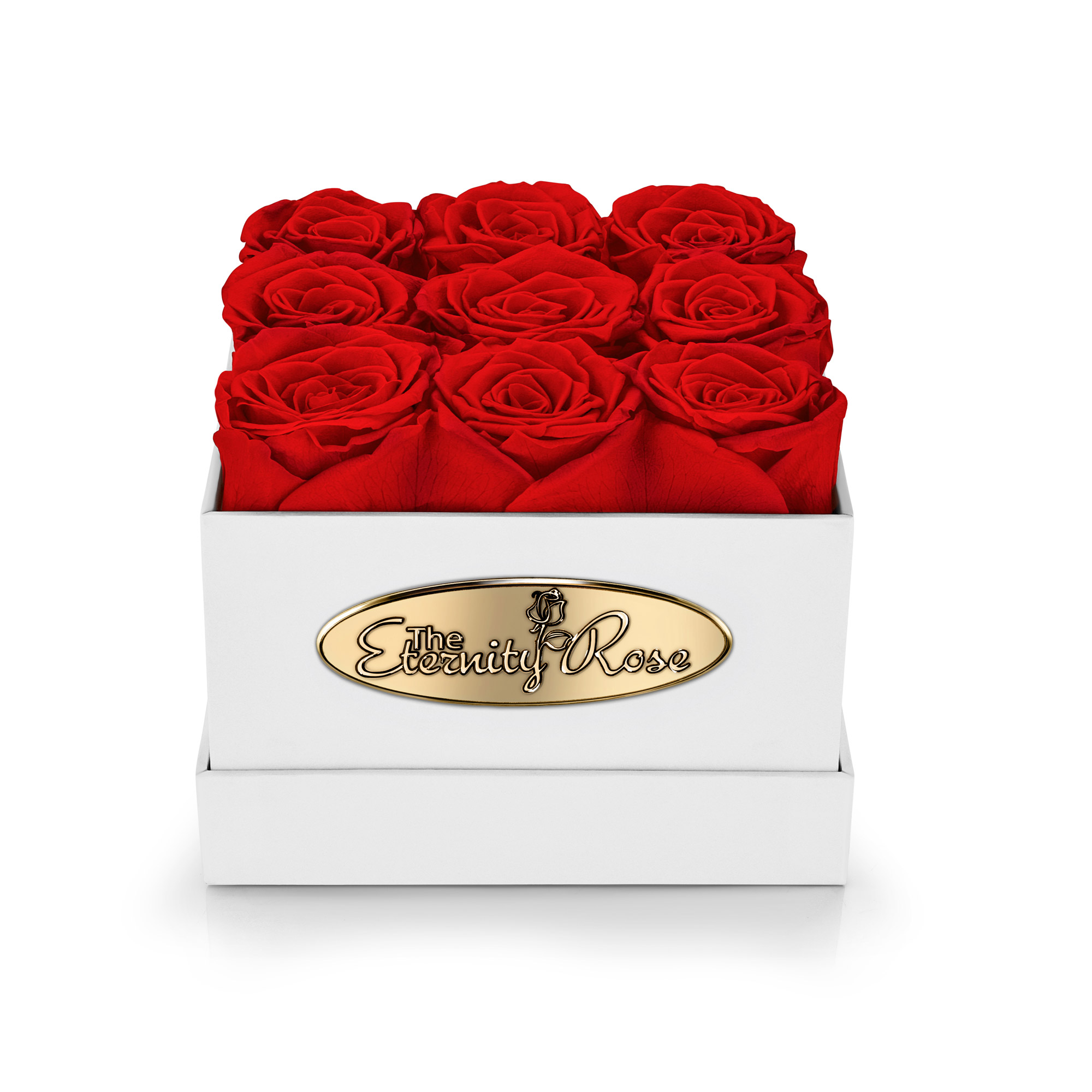 9 Konservierte Rote Rosen – Weiße Quadratische Box
