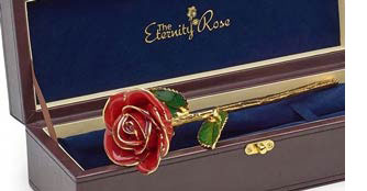 Red Glazed Eternity Rose